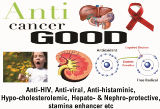 antiHIV